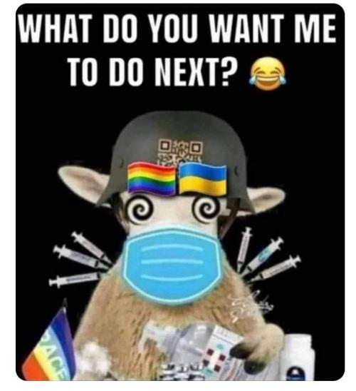 70f21908-445b-4cc4-9e6d-026508bc02ca