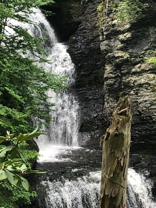 37A9C5B6-FC23-435C-82B3-DE80F735533E