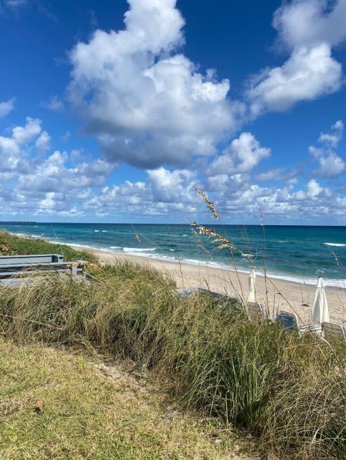 CE635CB2-62E4-46EE-BB01-BD3D28D34C9D