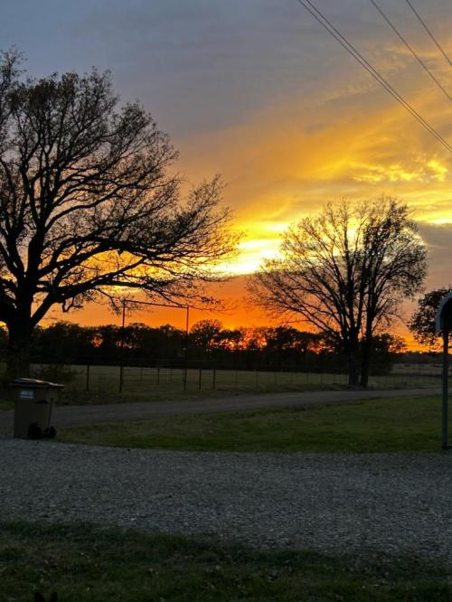 a31a838c-ec1d-4ff4-b277-375749b46bfb