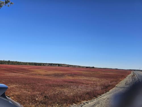 51316e79-c700-4adc-a959-05b89f87d978