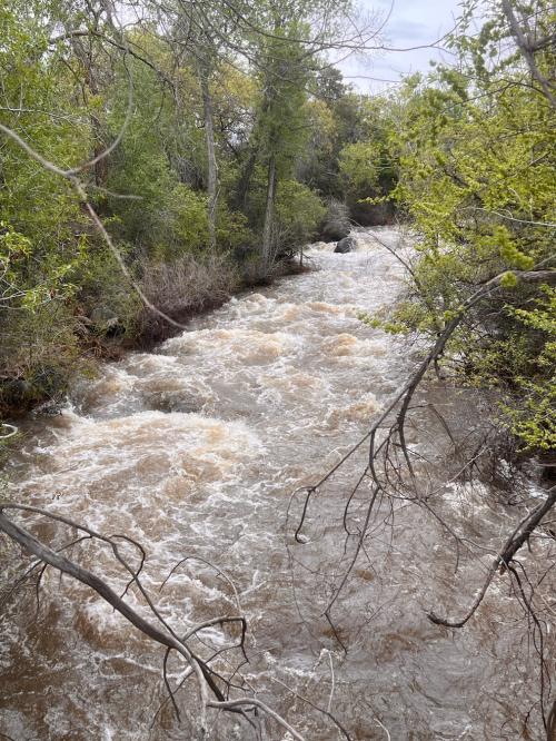 7F4754CB-7A57-40A5-A3B7-AF943D1C7219