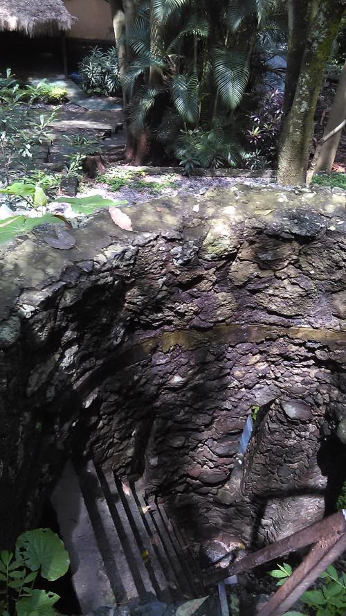 D1A7FD16-E475-44A9-829A-F3F7810A2566