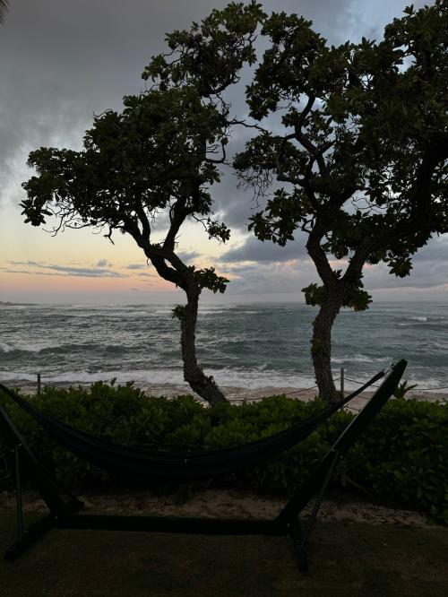 D4931595-7462-437D-A429-0FFE96408129