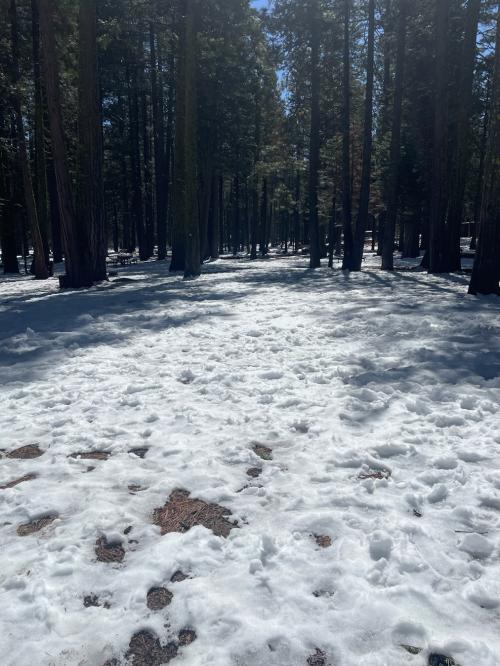 9F872A61-162D-4C96-A428-5229B9C39679