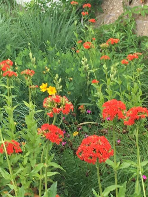 33AFE937-ADB0-438E-B0F9-CBCF7F721E53