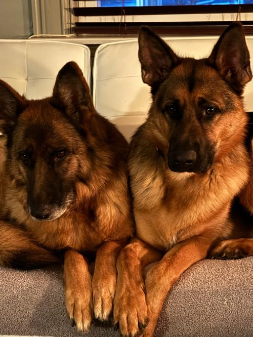 547C3B0B-54BB-4BA0-9C17-564F6537062B