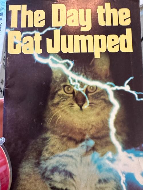 D45FBBD3-6945-4BFA-8302-658199E0D6D4