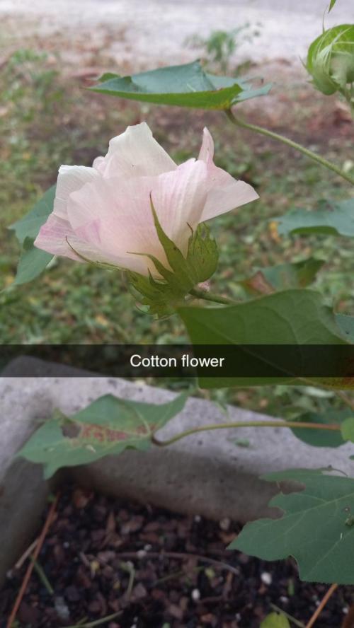 3cc5874f-68a1-4fa7-a2d8-43af40f96ef7