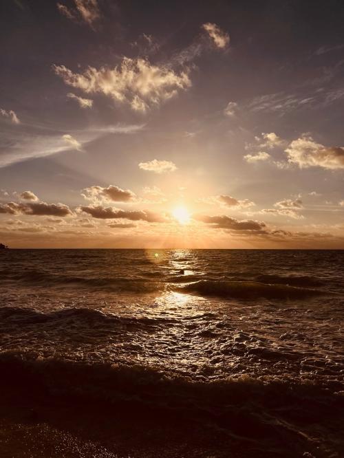 8C9FA96F-4810-4F15-A354-C099D8665391