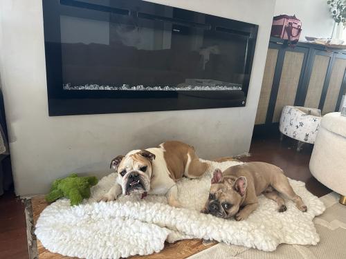 6D6D3C0F-6449-4B0B-A75C-EA9342382566