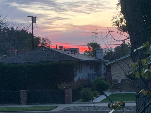 709AB850-6CD6-43E8-9162-0F0C75A4A3B9