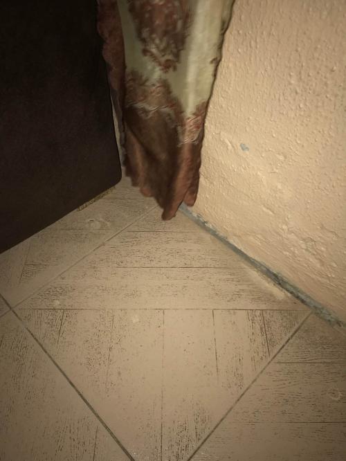 B3534D0F-28E1-4D64-865B-D10A8F01613E