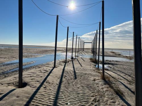 370503D3-C442-4421-BF72-DA48FE3115BB