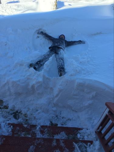 605D005C-4222-462C-8062-D7B82B8FA309