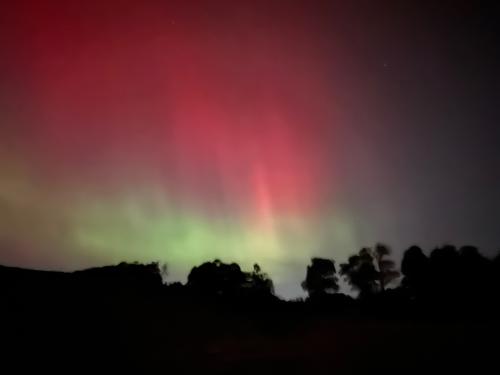 EC3E4D6B-1025-4019-9F99-7088592AC5F3