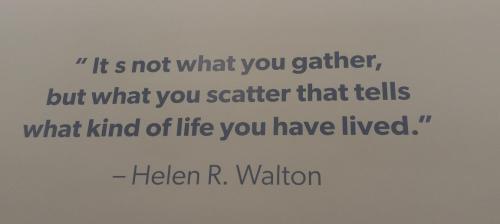 b6f800f1-e085-4552-ae20-dc0153c95c9e