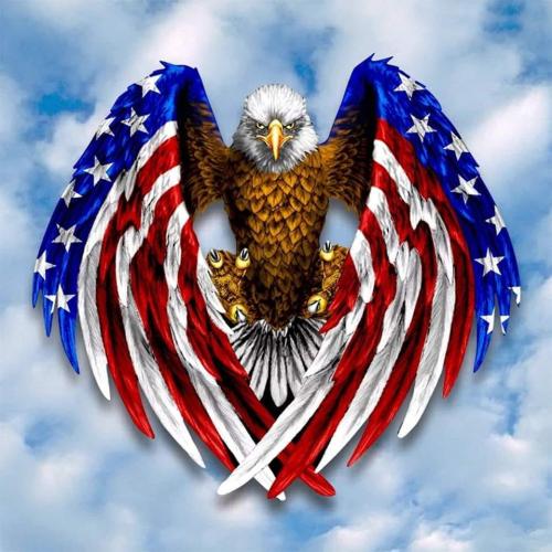 Eagle with flag wings