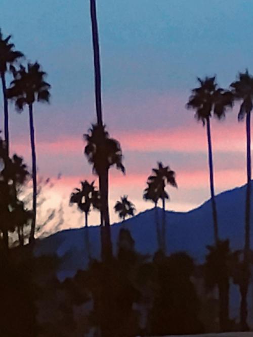 4d4c218a-4117-4ab3-8026-f04bf435be75