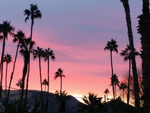 0b1e9eb5-4410-4fea-9909-2bf33f6e9a55