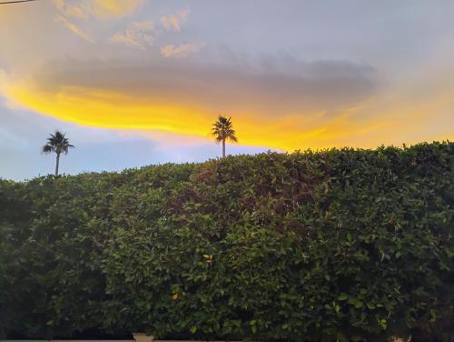 b71ee573-f484-4eed-819d-e3ba832583ec