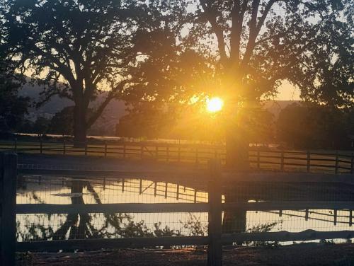 029a3ce3-a88f-427a-a15d-0633f8759f24