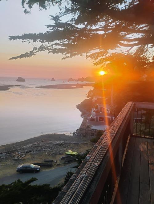 66c1aad1-846e-453b-b654-41fb920f068a