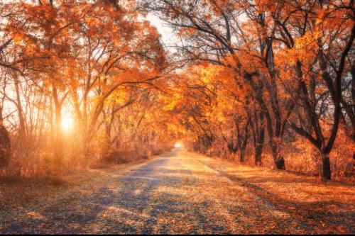 C991114F-9D5F-4095-A005-38287143A041