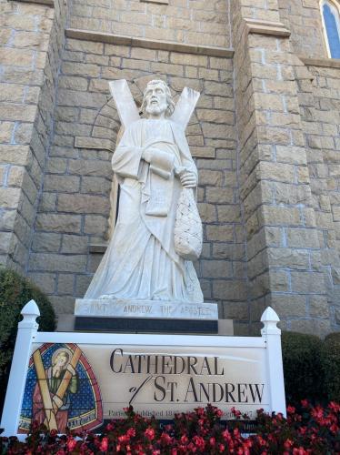 6BB88D03-B545-4D63-9DAC-EB9118C15FCD