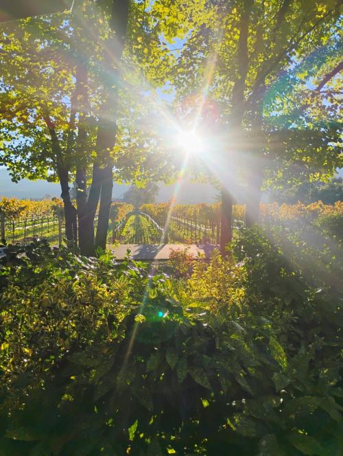 f7ebc550-a281-49a7-abf4-45cef3692f5b