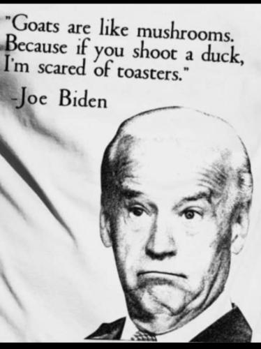 a8d0db93-0d12-4fee-b25c-c2ae58e2ac7c