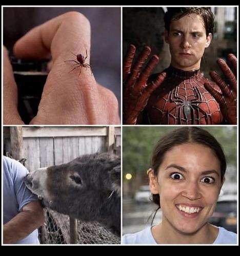 9cccfe1b-d1ce-4c45-bdf1-d88980ed17d1