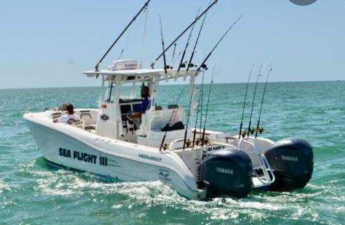 863d7136-974d-4468-b96d-f206ea3c5200