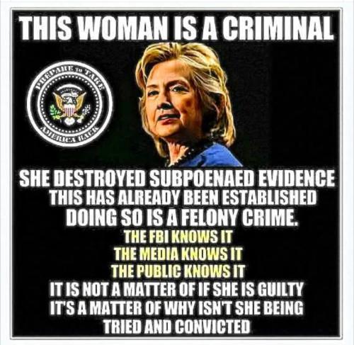 0335889d-f6fb-4418-b20d-f481bd61cf91