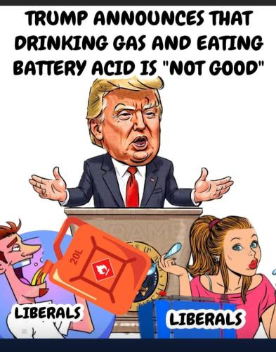 d3e7b041-cee9-4fde-889e-7cdf5d4d3438