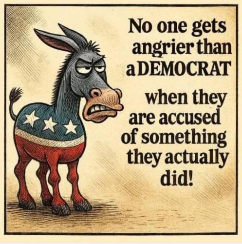 bd3d7911-fed9-4403-bcb7-44b27194ef2b