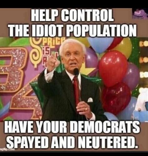 39b55313-9cd4-43de-a3b2-f63606844dd6