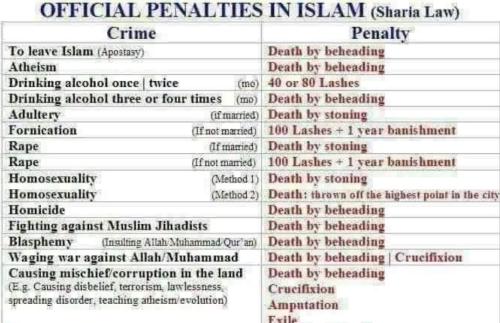 134f9f46-346c-4e1d-b020-2691c8195a56