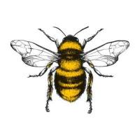 Bee Benefield - ADMIN