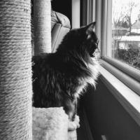 Loretta Manula