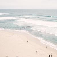 Theresa Coulter