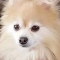 Robin Mallory
