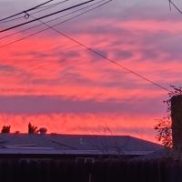 Martha Rudometkin