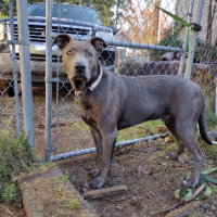 Brenda Gann