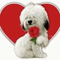Tricia Mitchell