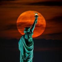 Scott M