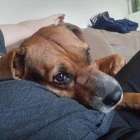 Kimberly Potts