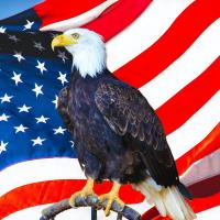 Lisa Mullen