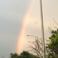 Michelle Sonnenreich