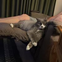 Lori calvert